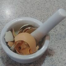 chicken hen eggs shell eggshell barn coop farm homestead Picture Picture